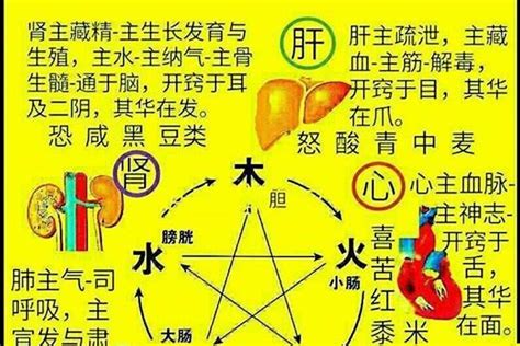 火的名字|五行属火最吉利的男孩名字280个